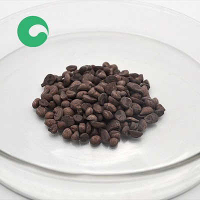 مضادات الأكسدة عالية الجودة tmq rd مصر