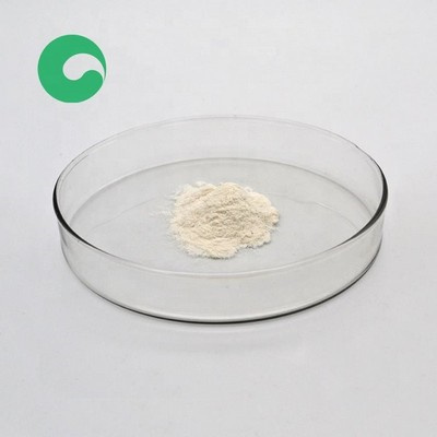 مُعجِّل مطاطي cbs cz للأحزمة المطاطية مصر